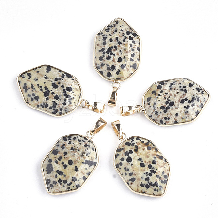 Natural Dalmatian Jasper Pendants G-S344-12B-1