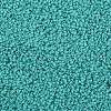 TOHO Round Seed Beads SEED-TR11-0055-2