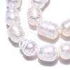 Natural Cultured Freshwater Pearl Beads Strands PEAR-N012-06R-3