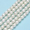 Natural Cultured Freshwater Pearl Beads Strands PEAR-J006-14B-01-2