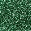 8/0 Glass Seed Beads SEED-A017-3mm-1114-2