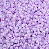 Lustered Glass Seed Beads SEED-K010-04A-2