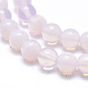 Opalite Beads Strands G-L557-42-8mm-2