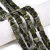 Natural TaiWan Jade Beads Strands G-T139-8x8-21A-1