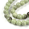 Baking Paint Glass Beads Strands DGLA-N013-10mm-05-3