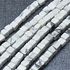 Natural Howlite Beads Strands G-F631-C17-1