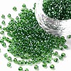 (Repacking Service Available) Glass Seed Beads SEED-C015-3mm-107B-1