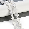 Natural Howlite Beads Strands G-I369-A18-02-2