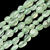 Natural Prehnite Beads Strands G-G018-64-2