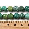 Natural Green Grass Agate Beads Strands G-NH0001-D03-02-5