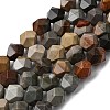 Natural Picasso Jasper Beads Strands G-Z119-A25-03-3