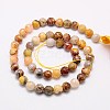Natural Crazy Agate Beads Strands G-G542-10mm-10-2