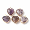 Natural Amethyst Pendants G-C005-01G-16-1