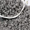 Transparent Colours Glass Seed Beads SEED-R001-01L-1