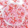 Glass Seed Beads SEED-K010-03P-3