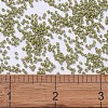 MIYUKI Delica Beads SEED-MY11-DB2124-4