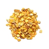 Natural Shell Beads BSHE-WH0003-01A-1