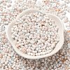 Baking Paint Glass Seed Beads SEED-F005-01A-04-2