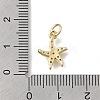 Brass Micro Pave Clear Cubic Zirconia Charms KK-D431-053C-G-3