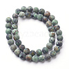 Natural African Turquoise(Jasper) Bead Strands G-P214-03-8mm-2