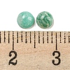 Natural Amazonite Cabochons G-H309-03-62-3