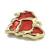 Alloy Enamel Pendants PALLOY-F312-50G-02-2