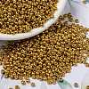 MIYUKI Round Rocailles Beads SEED-X0055-RR4203-1