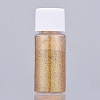 Shiny Laser Glitter Dust Powder DIY-L034-02F-1
