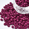 6/0 Glass Seed Beads SEED-S058-A-F451-1