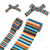 2 Rolls 2 Styles Stripe Pattern Printed Polyester Grosgrain Ribbon OCOR-TA0001-37C-9