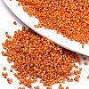 11/0 Grade A Baking Paint Glass Seed Beads X-SEED-S030-1028-1