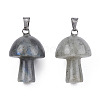 Natural Labradorite Pendants G-N0325-10O-3