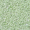 Glass Seed Beads SEED-S060-A-971-3