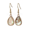 Natural Paua Shell Dangle Earrings EJEW-JE06274-06-2