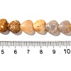 Natural Fossil Coral Beads Strands G-R190-10mm-45-5