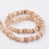 Natural Shell Bead Strands BSHE-P021-14-2