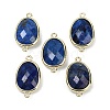 Dyed Natural Lapis Lazuli Faceted Connector Charms G-K347-11G-02-1