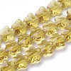 Transparent Glass Beads GLAA-Q066-10mm-C11-1