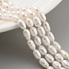 Natural Cultured Freshwater Pearl Beads Strands PEAR-P062-05C-2