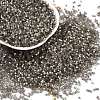 Imitation Cat Eyes Glass Seed Beads SEED-H003-03N-1