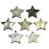 Natural Freshwater Shell Pendants SHEL-R113-16D-1