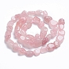 Natural Rose Quartz Beads Strands G-G841-A07-2