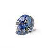 Resin Skull Display Decoration PW-WG10352-06-1