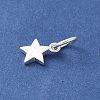 S925 Sterling Silver Pendant STER-H115-03C-S-2