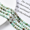 Natural Chrysoprase Beads Strands G-S333-6mm-016-4