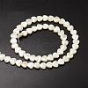 Natural Trochid Shell/Trochus Shell Beads Strands SSHEL-K012-04-2