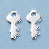 304 Stainless Steel Charms STAS-H436-39S-2