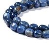 Natural Gemstone Beads Strands G-C038-02J-4