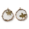 Inner Dried Flower Resin Pendants RESI-P028-02KCG-01-2