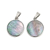 Natural Paua Shell Pendants SSHEL-M024-02A-1